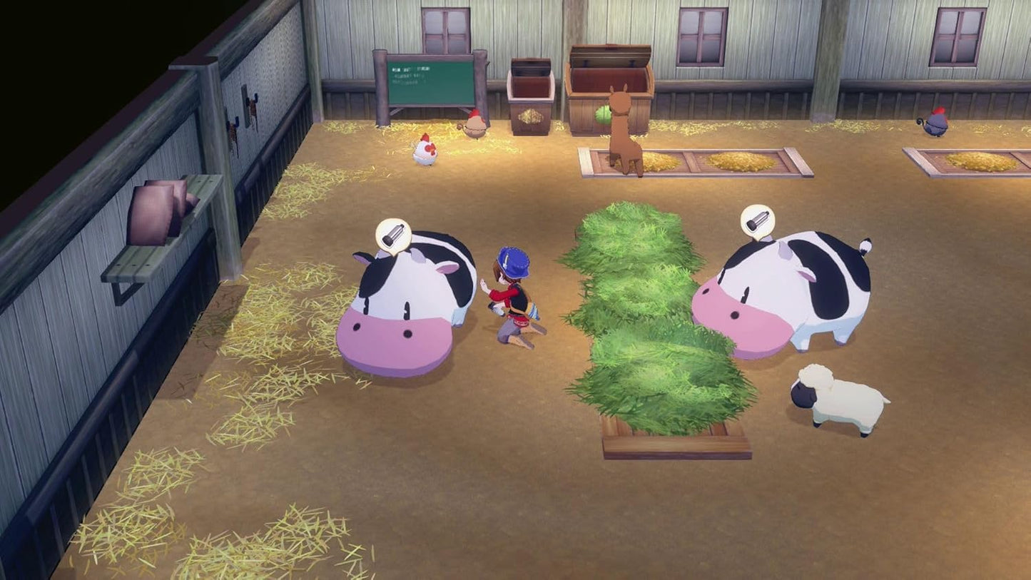 Story Of Seasons: Grand Bazaar 2 – Nintendo Switch