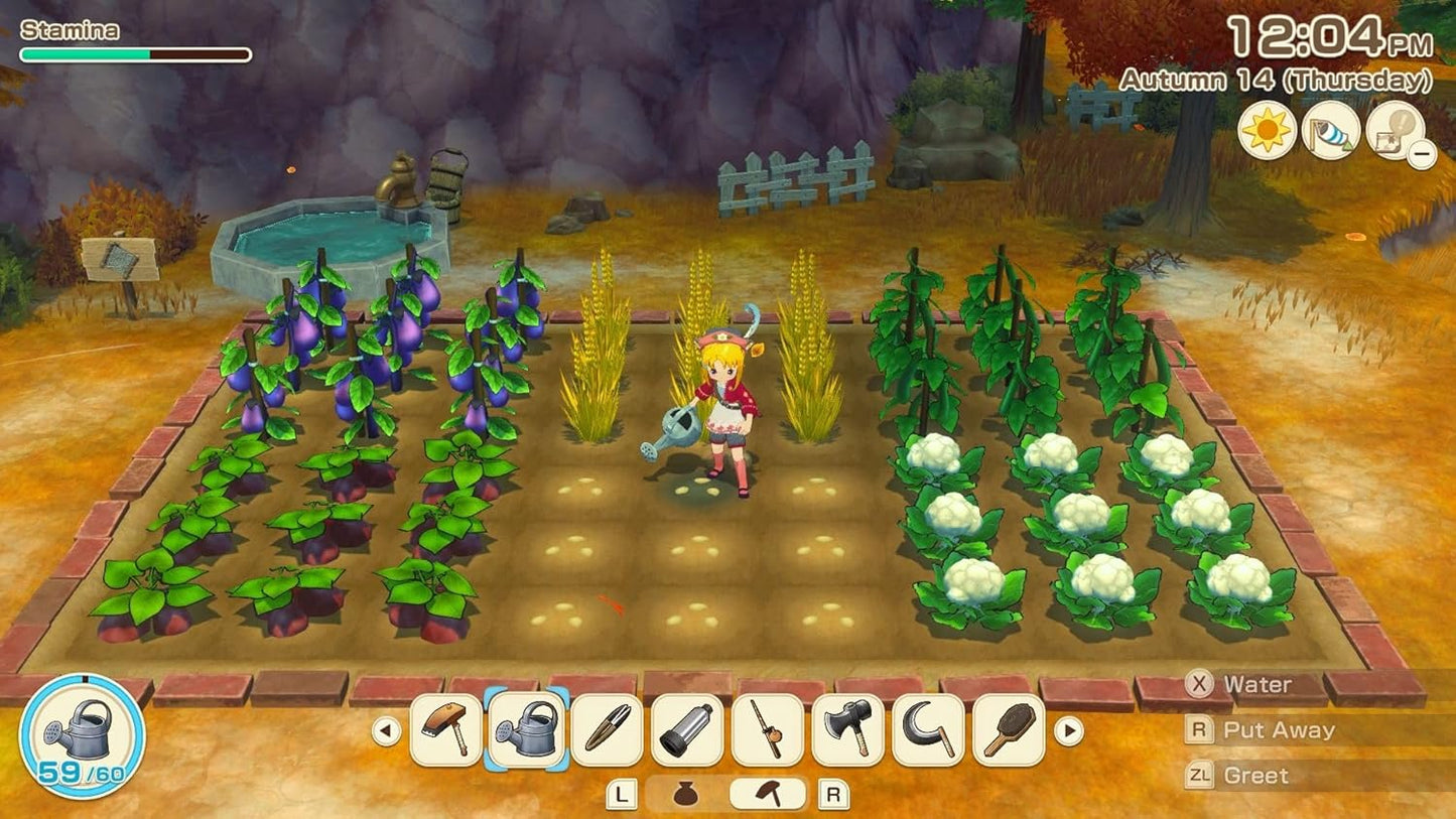 Story Of Seasons: Grand Bazaar 2 – Nintendo Switch