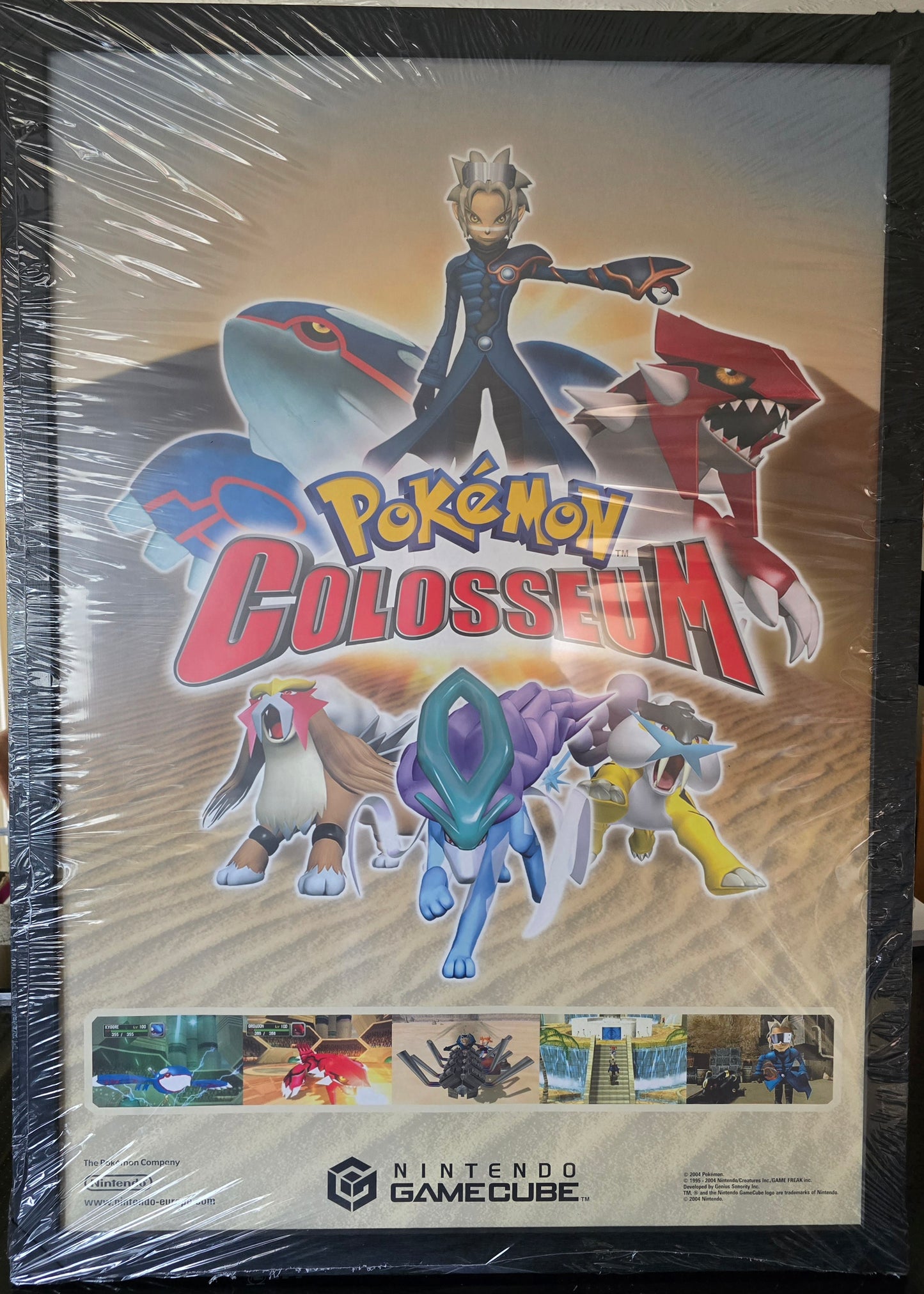 Pokémon Colosseum Promotional Display Material – Rare Gaming Collectible
