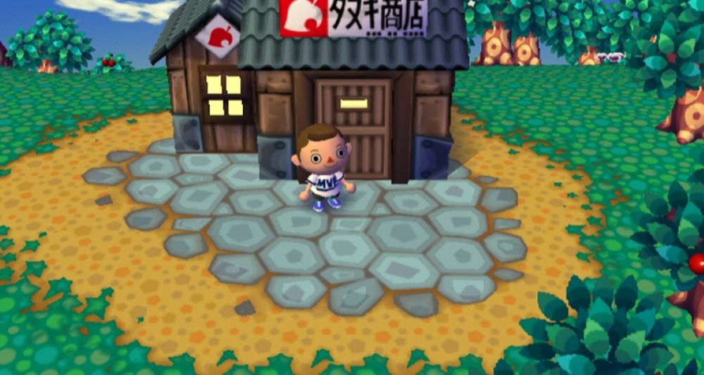 Animal Crossing: Let's Go to the City – Nintendo Wii Life Simulation