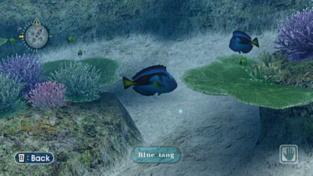 Endless Ocean  – Nintendo Wii Underwater Exploration Game