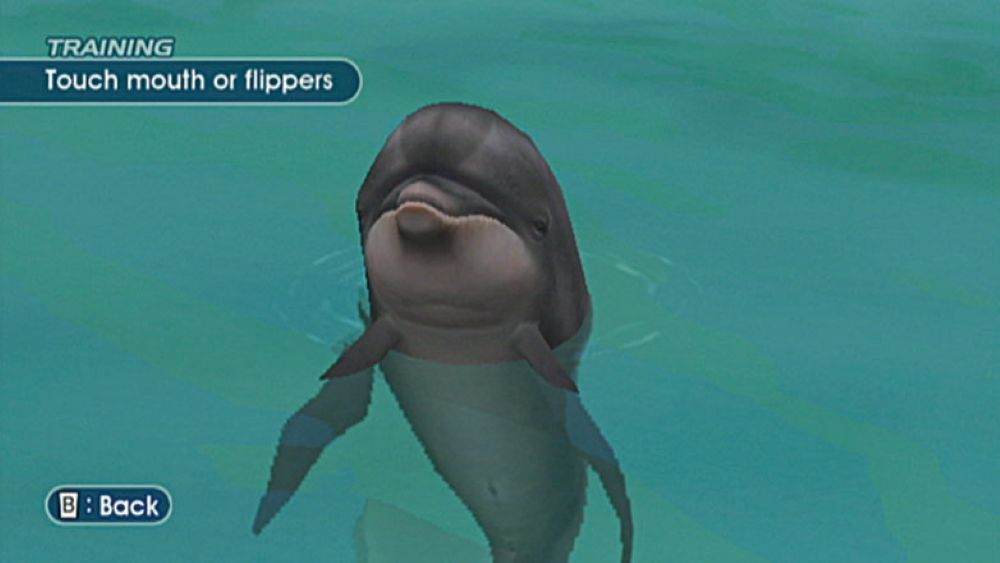 Endless Ocean  – Nintendo Wii Underwater Exploration Game