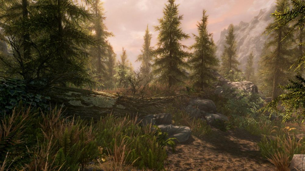 The Elder Scrolls V Skyrim Special Edition – Xbox One RPG Game Bethesda