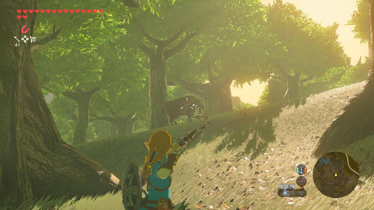 The Legend of Zelda: Breath of the Wild 2 – Nintendo Switch